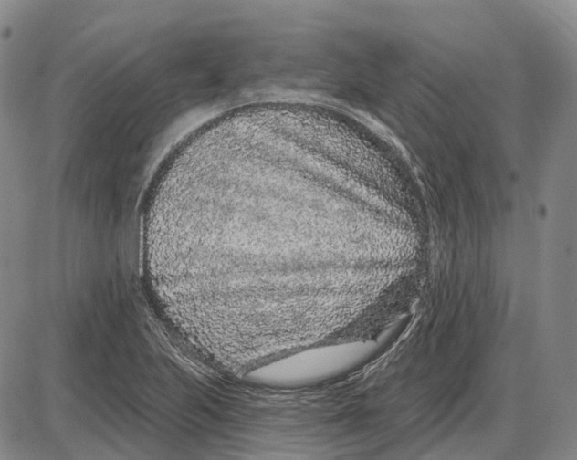 X0000085061223200704021336