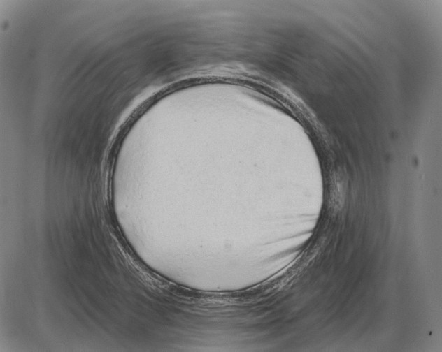 X0000085061224200704021336