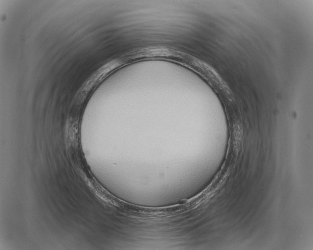 X0000085061225200704021336