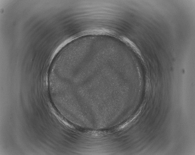 X0000085061226200704021336