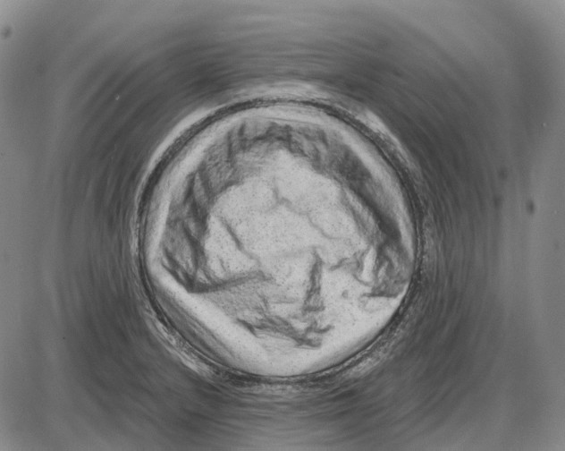 X0000085061232200704021336