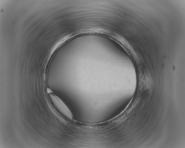 X0000085061234200704021337