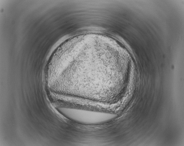 X0000085061243200704021337