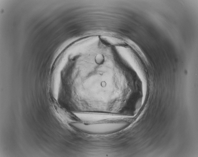 X0000085061244200704021337