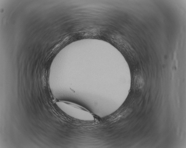 X0000085061250200704021336