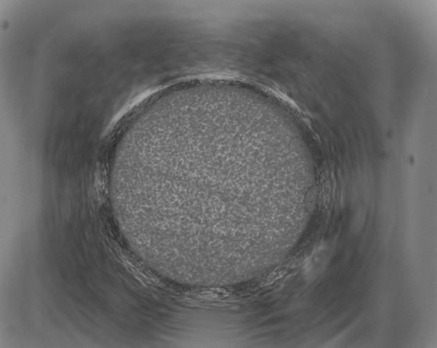 X0000085061255200704021336