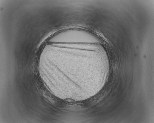 X0000085061256200704021336