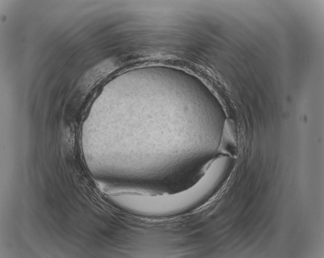 X0000085061257200704021336