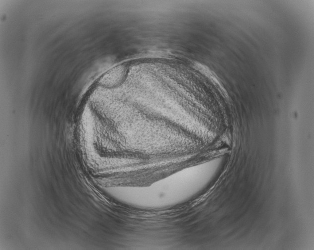 X0000085061260200704021336