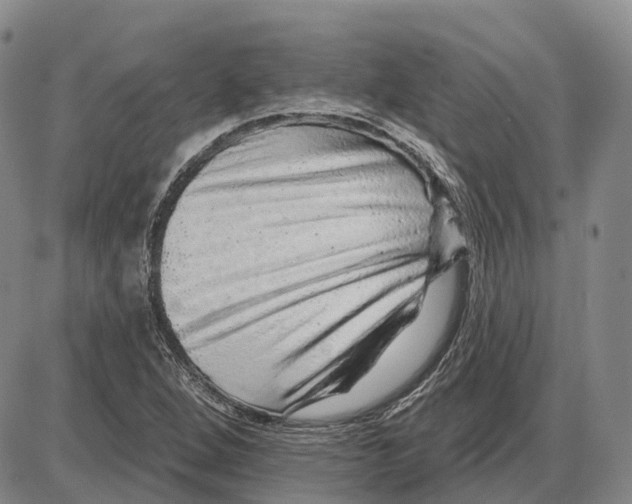 X0000085061264200704021336