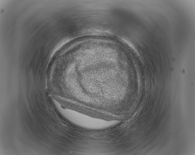 X0000085061267200704021336