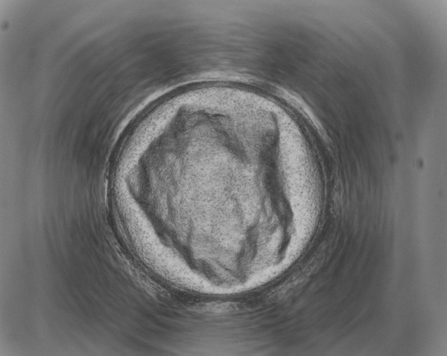 X0000085061268200704021336