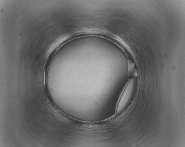 X0000085061269200704021336