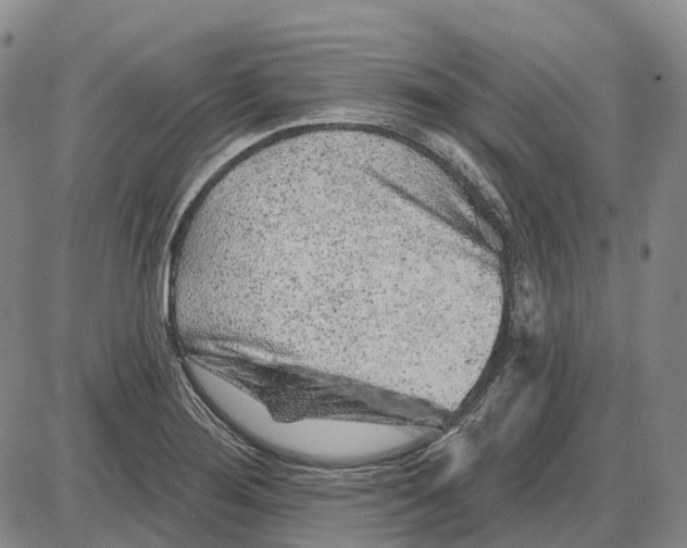 X0000085061276200704021335