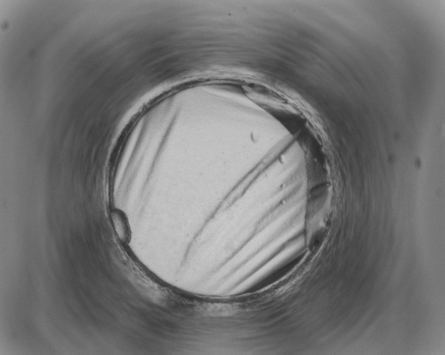 X0000085061280200704021335