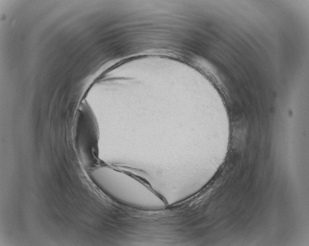 X0000085061284200704021335