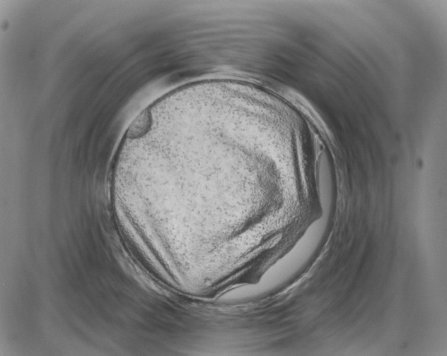 X0000085061292200704021335