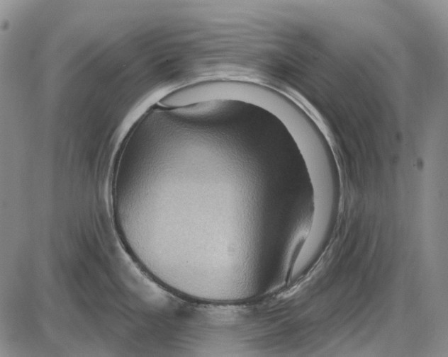 X0000085061293200704021335