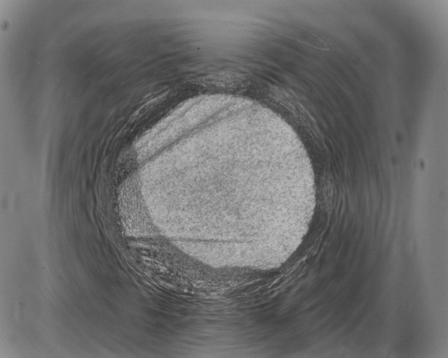 X0000085061297200704021334