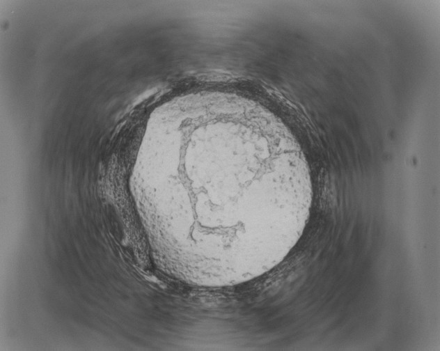 X0000085061301200704021334