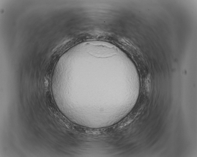 X0000085061302200704021334