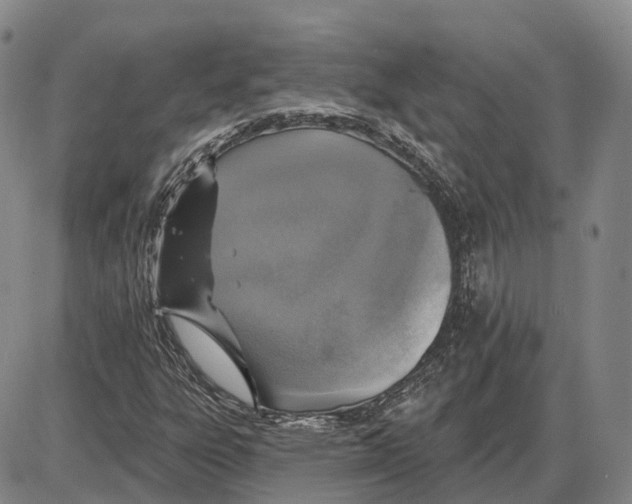 X0000085061303200704021334