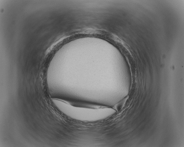 X0000085061304200704021334