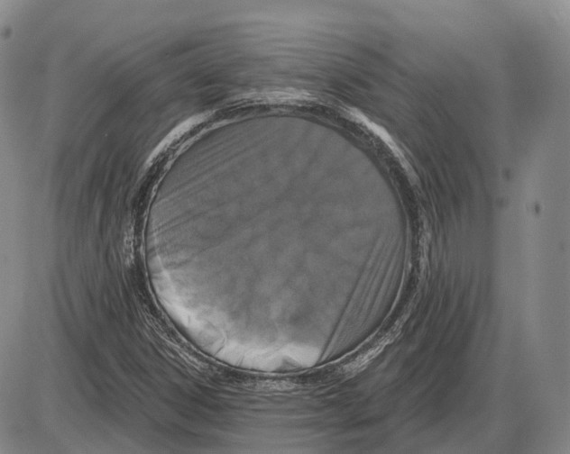 X0000085061306200704021335
