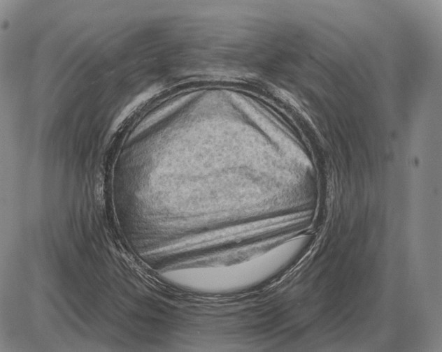X0000085061307200704021335