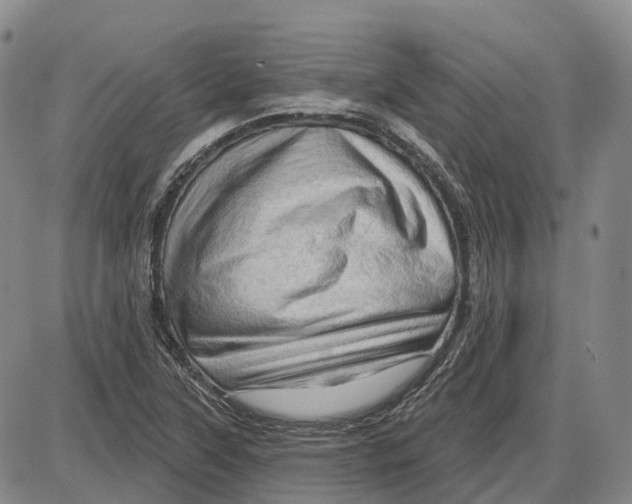 X0000085061315200704021335