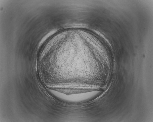 X0000085061317200704021335