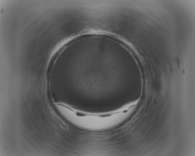 X0000085061319200704021335