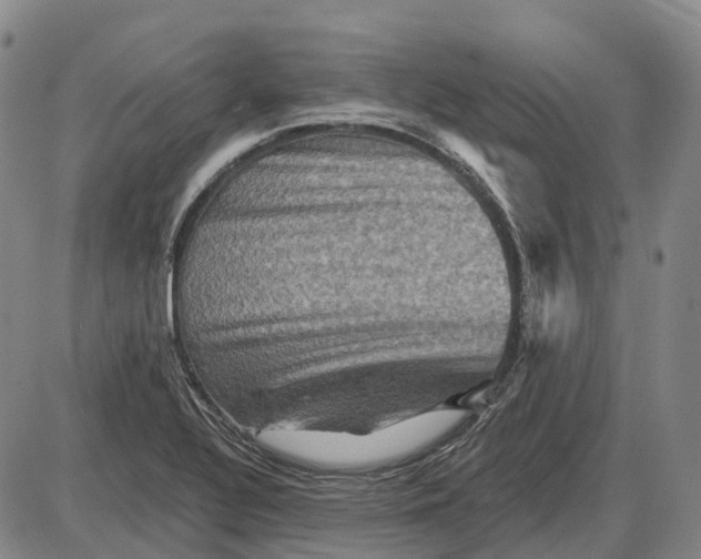 X0000085061320200704021335