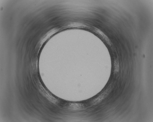 X0000085061322200704021335