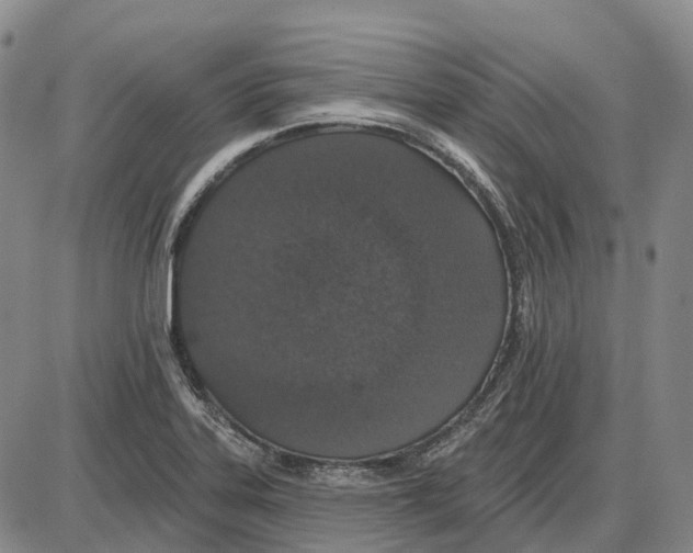 X0000085061323200704021335