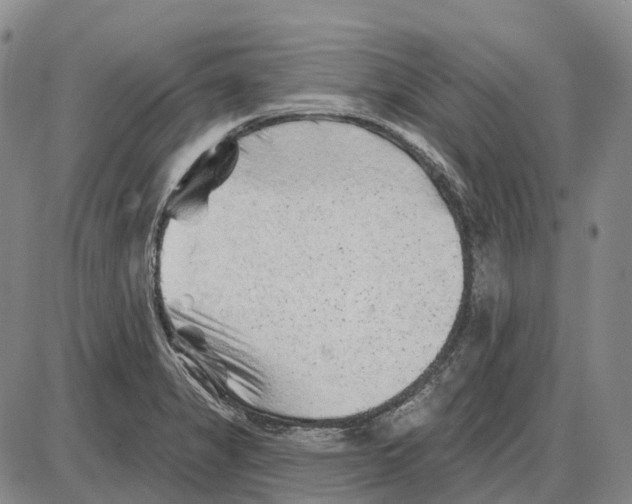 X0000085061325200704021335