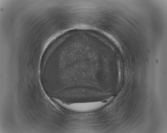 X0000085061327200704021335