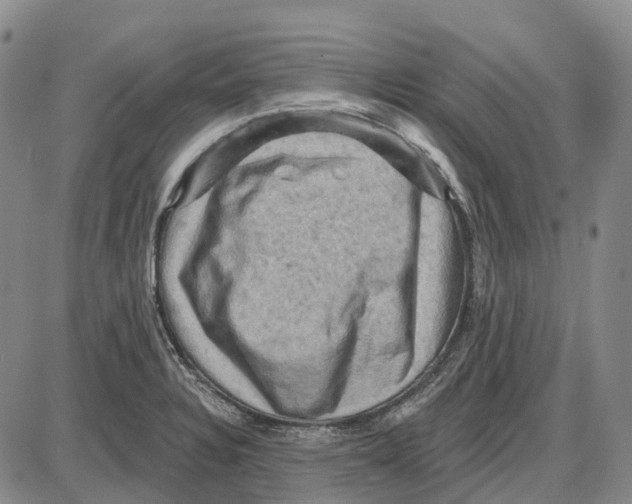 X0000085061328200704021335