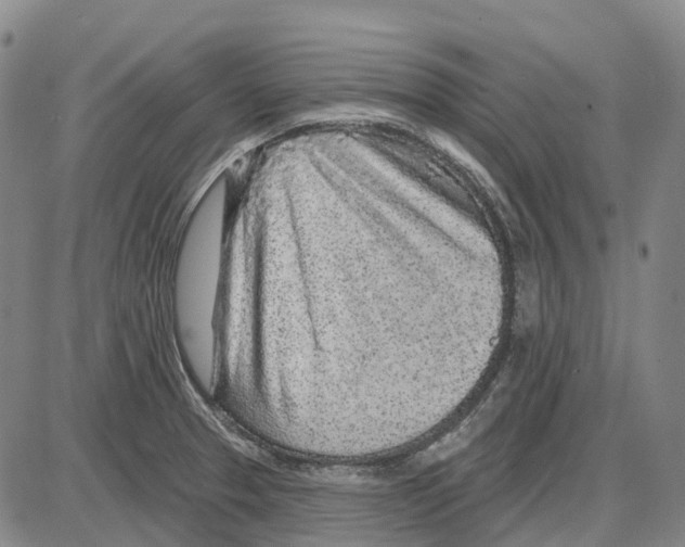 X0000085061329200704021335