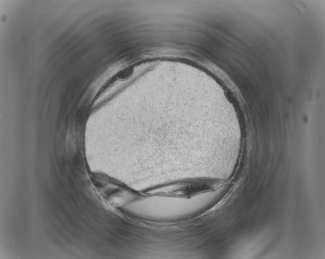 X0000085061337200704021335