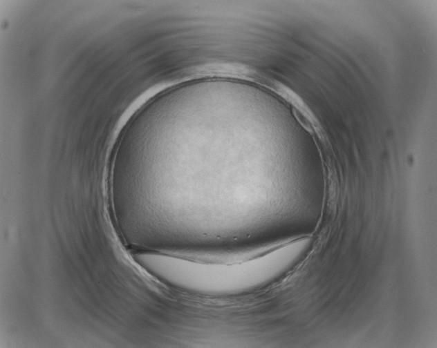 X0000085061339200704021335
