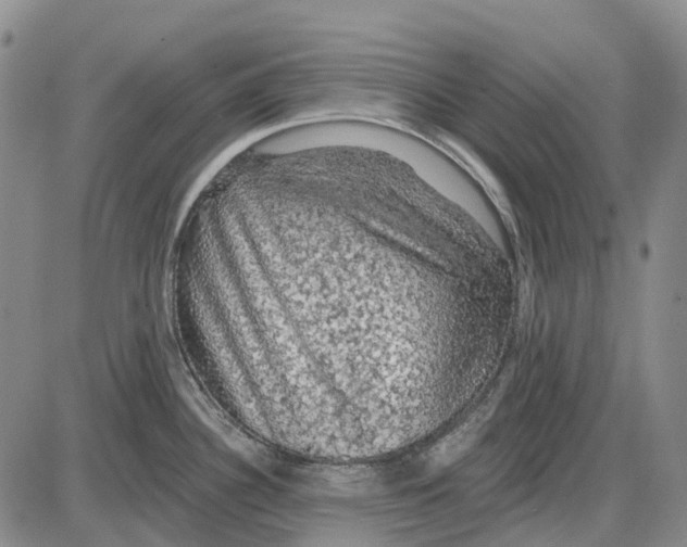 X0000085061340200704021335