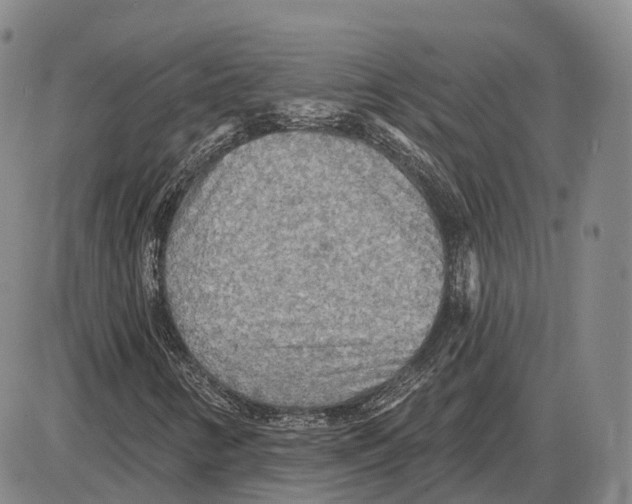 X0000085061346200704021334