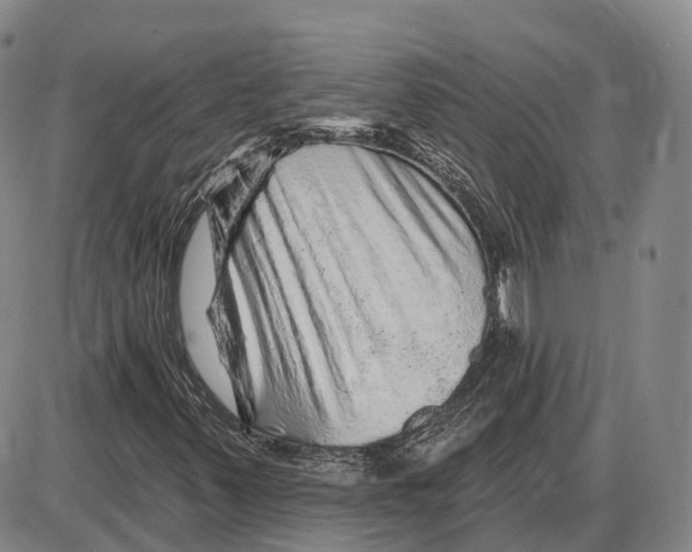 X0000085061347200704021334
