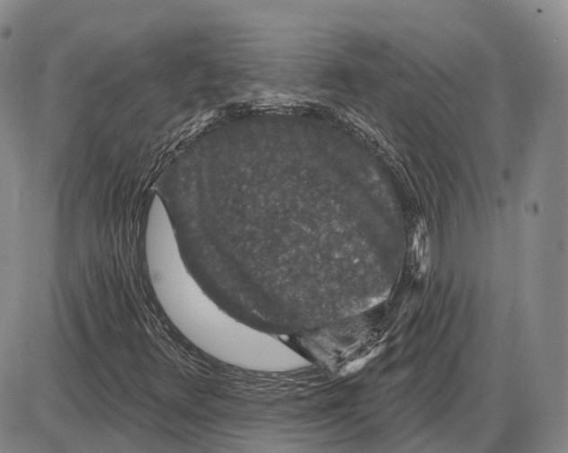 X0000085061348200704021334