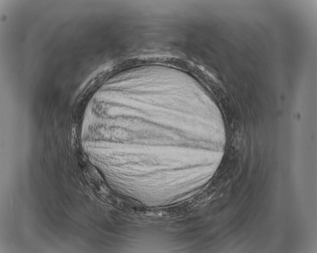 X0000085061351200704021334