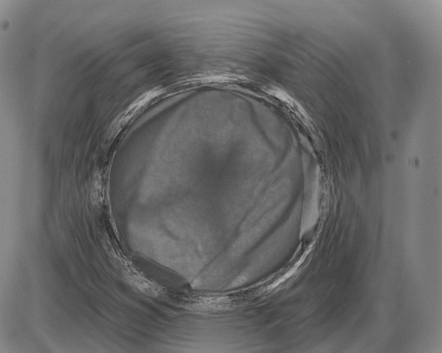 X0000085061353200704021334