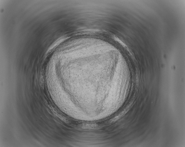 X0000085061354200704021334