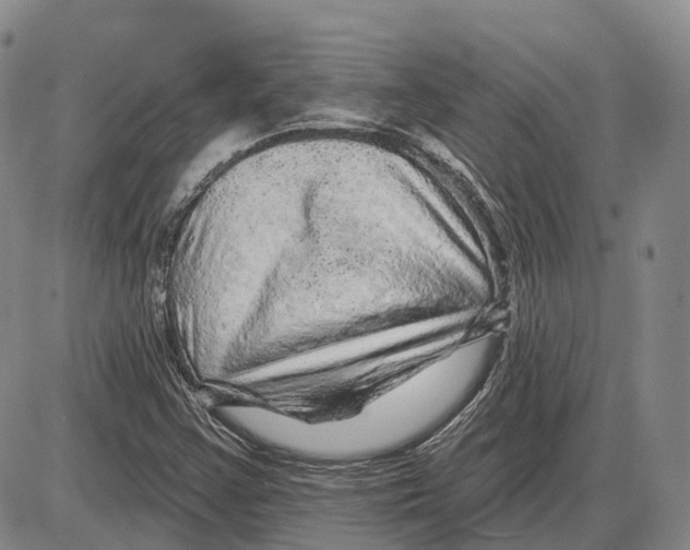 X0000085061355200704021334