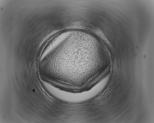 X0000085061356200704021334